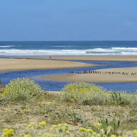 アパート 4 A 5 Pers Face Au Golf 700m De L'ocean モリエ・エマー