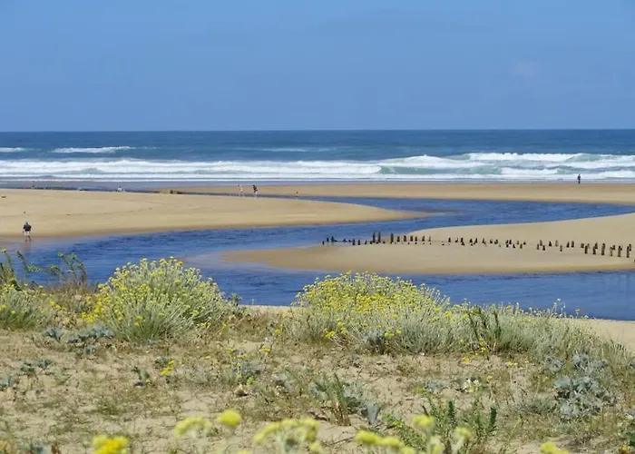 Appartamento 4 à 5 Pers Face Au Golf 700m De L'océan Moliets-et-Maa